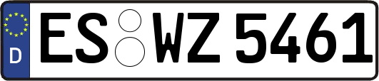 ES-WZ5461