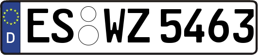 ES-WZ5463