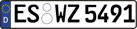 ES-WZ5491