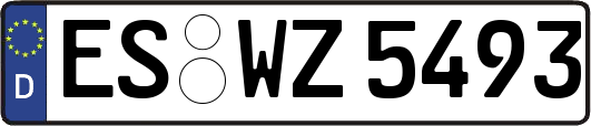 ES-WZ5493