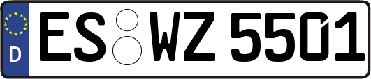 ES-WZ5501