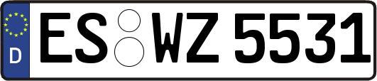 ES-WZ5531