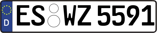 ES-WZ5591