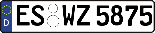 ES-WZ5875