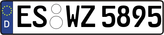 ES-WZ5895