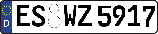 ES-WZ5917