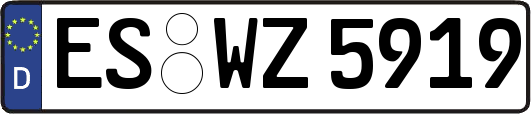 ES-WZ5919