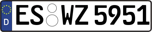 ES-WZ5951