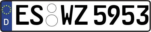 ES-WZ5953