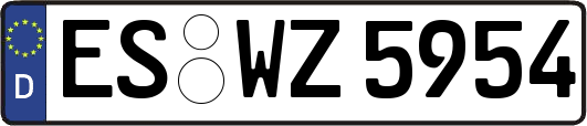 ES-WZ5954