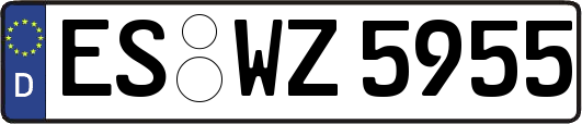 ES-WZ5955