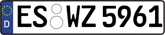 ES-WZ5961