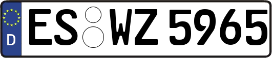 ES-WZ5965