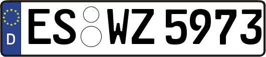 ES-WZ5973