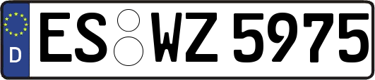 ES-WZ5975