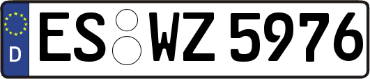 ES-WZ5976