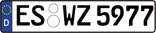 ES-WZ5977