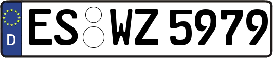 ES-WZ5979