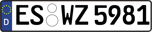 ES-WZ5981