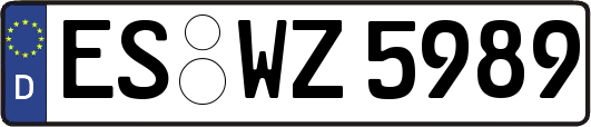 ES-WZ5989