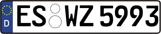 ES-WZ5993