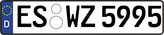 ES-WZ5995