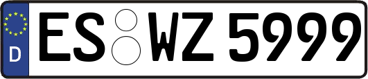 ES-WZ5999