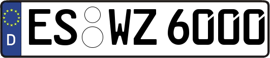 ES-WZ6000