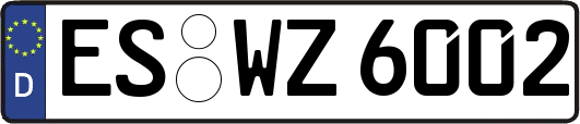 ES-WZ6002