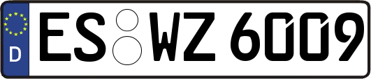 ES-WZ6009