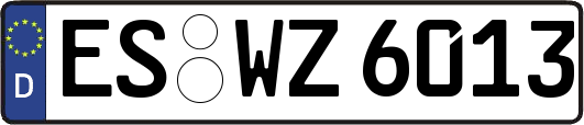 ES-WZ6013