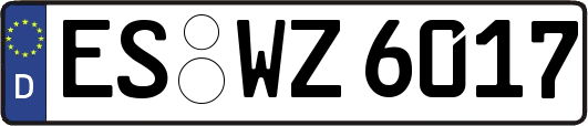 ES-WZ6017