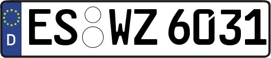 ES-WZ6031