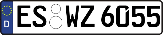 ES-WZ6055