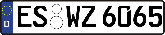 ES-WZ6065