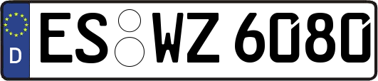 ES-WZ6080