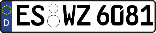 ES-WZ6081