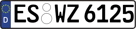 ES-WZ6125