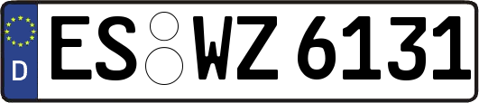 ES-WZ6131