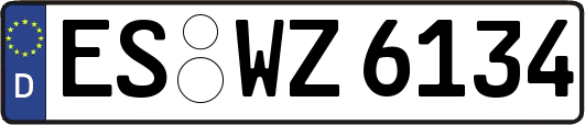 ES-WZ6134