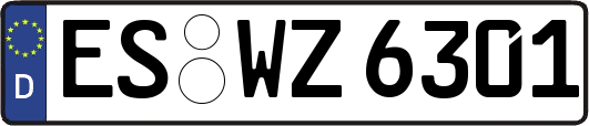 ES-WZ6301