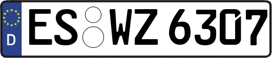 ES-WZ6307