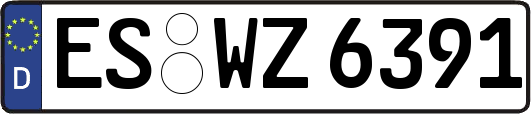 ES-WZ6391