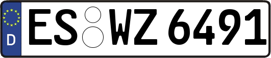 ES-WZ6491
