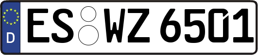 ES-WZ6501