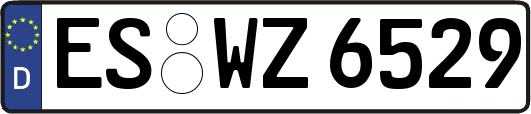 ES-WZ6529