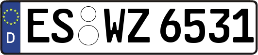 ES-WZ6531
