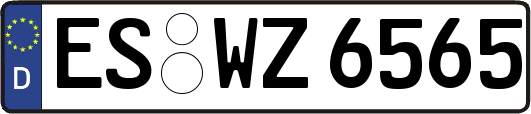 ES-WZ6565