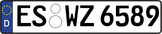 ES-WZ6589