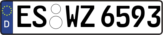 ES-WZ6593